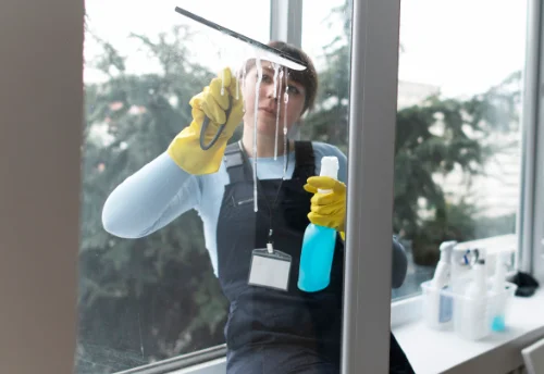 Nettoyage de vitres intérieures et extérieures à Ville-sur-Jarnioux